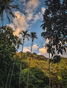 unnamed - 2025-09-23T133517.188