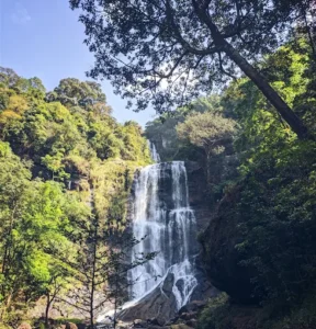 unnamed - 2025-09-23T133538.927